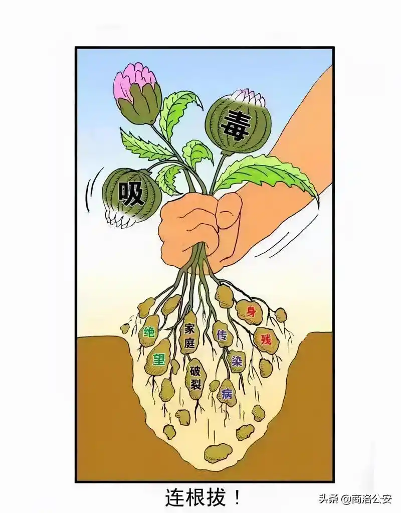 商洛市禁毒专题线上漫画展播一