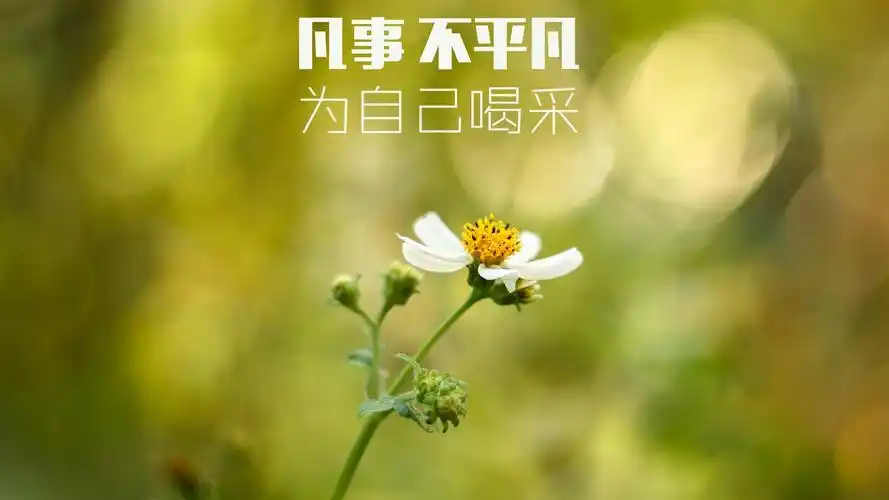 安装元气桌面,海量壁纸一键设置尺寸:1920x1080体积:0.