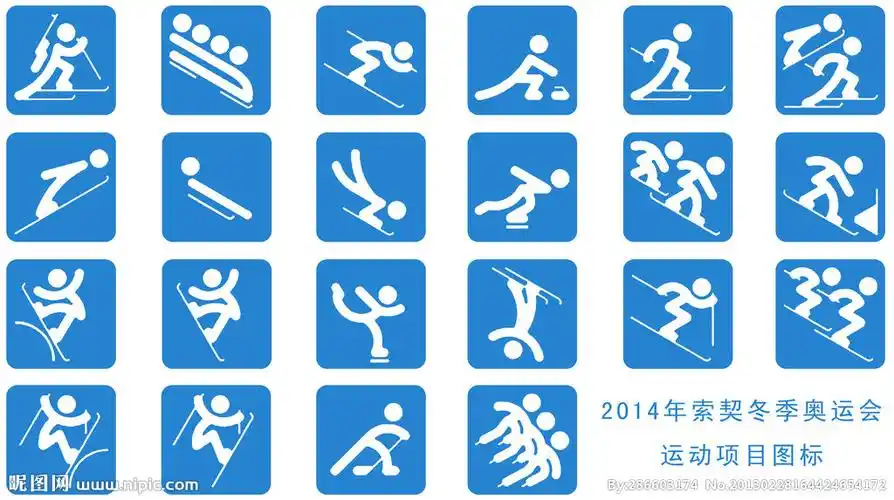 2014年索契冬季奥运会运动项图片