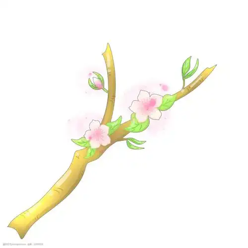粉色的桃花装饰插画