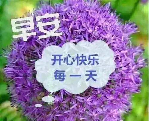 清晨很唯美的早上好祝福图片开心每一天的早安祝福正能量表情图片