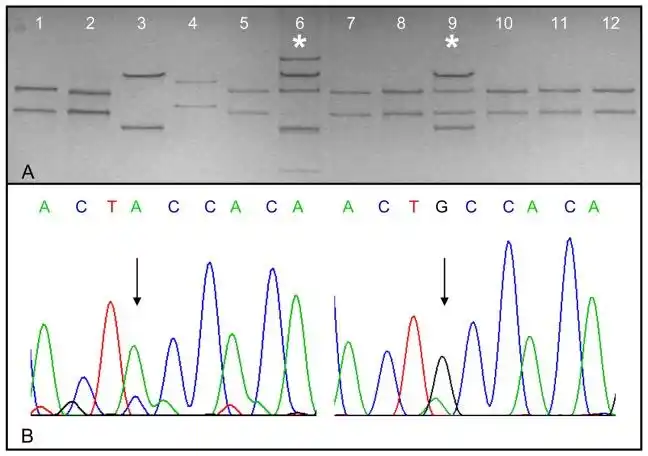 detection of up to 65% of precancerous lesions