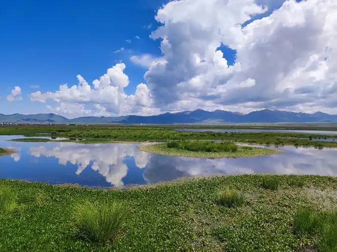 一起享受大自然的美 #花湖仙境仙鹤 暂停营业 花湖风景区 若尔盖县