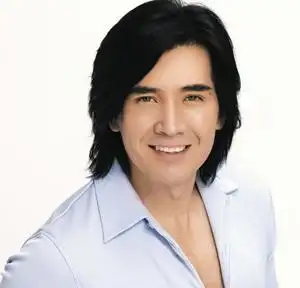 优雅绅士费翔代言大洋门业