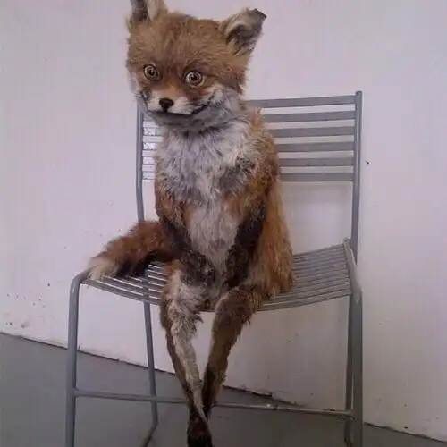 丑丑的没有未来