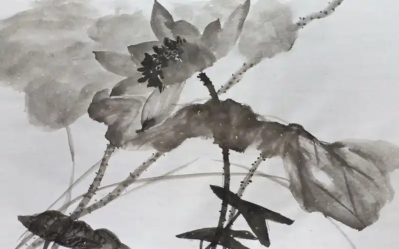 水墨写意荷花