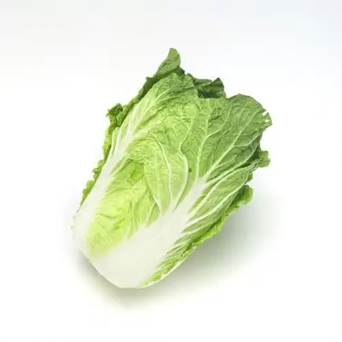 白菜图片