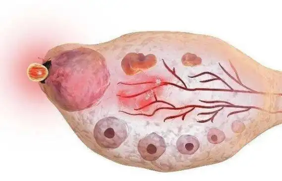 去医院测排卵挂生殖医学科和妇科都行吗
