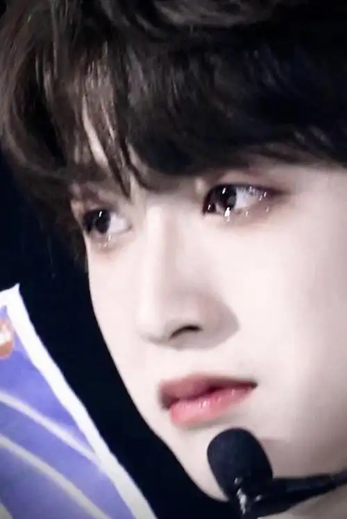 页爱关注讨回公道第二天早上床上睡着两个少年,一个敖子逸一个贺峻霖