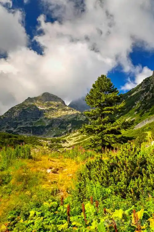 美丽的风景在高山