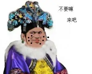 满脸麻子的娘娘:不要啊,来吧