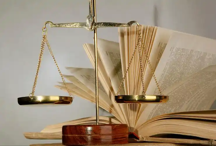 职业教育 | 彭振宇:修法,执法,守法,一个都不能少_新法_发展_法律