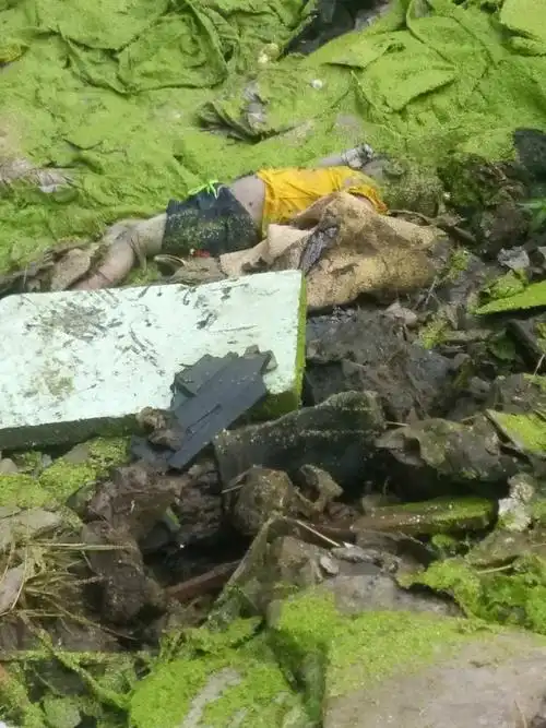 痛心高邮失踪4岁女孩尸体目前已确认溺水死亡警方这么说