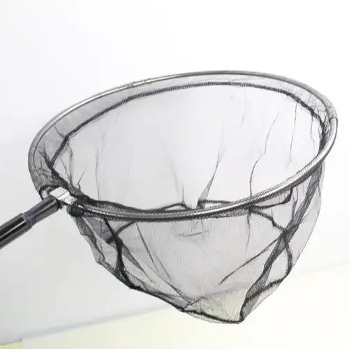 黑三角抄网 025.jpg