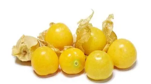 我最喜欢的水果