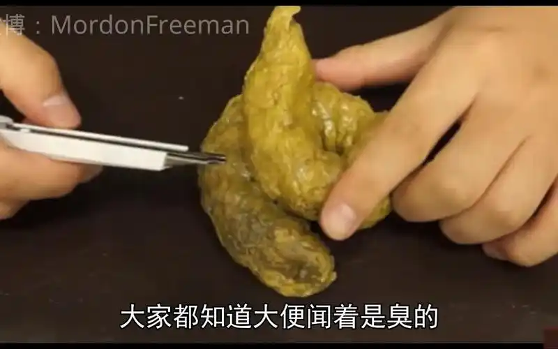 摩登弗里曼吃屎挑战大便闻着臭吃着竟然是