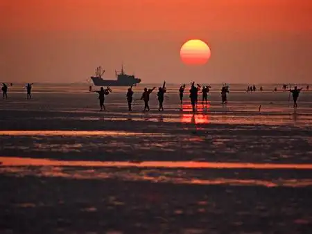 首届中国如东"海洽会"召开 洋口港引起广泛瞩目