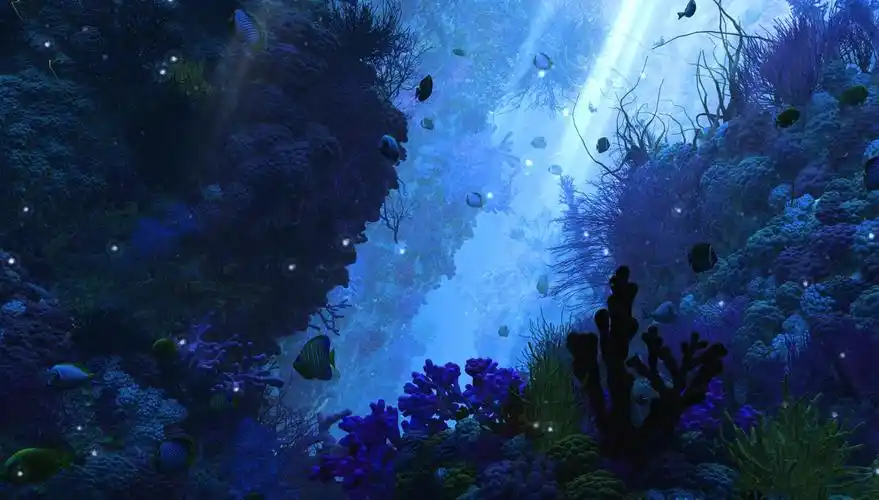 wallpaperengine浅海海沟动态壁纸