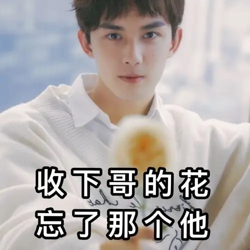 吴磊|随手收集的表情包