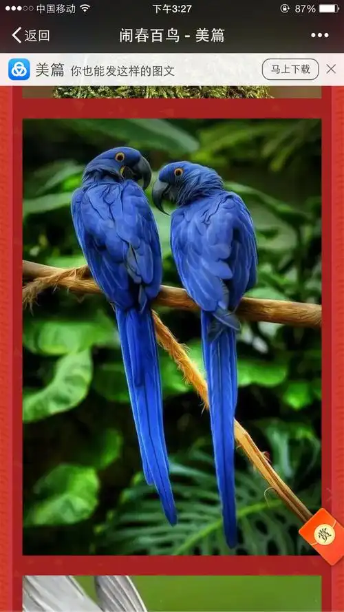 相知相守 相依相伴(副本)