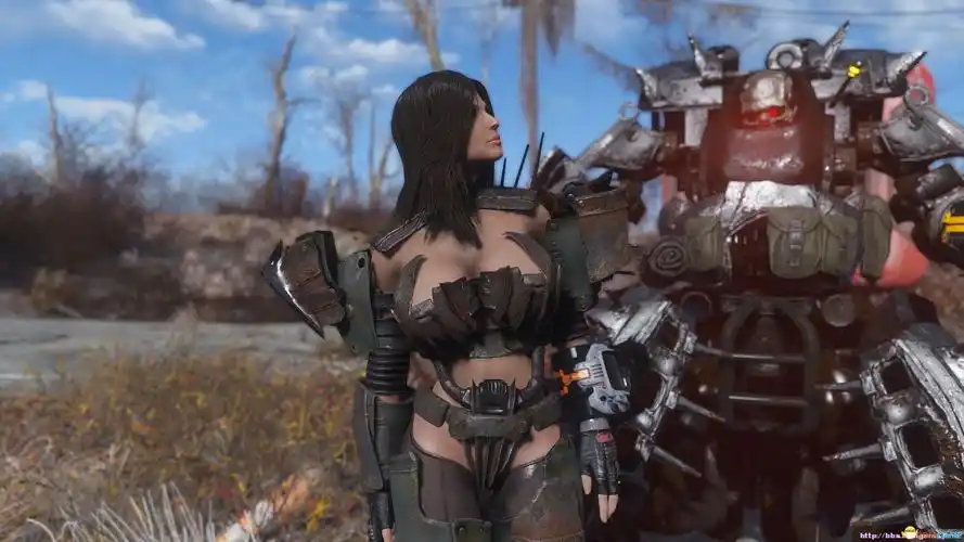 辐射4胸部服装mod合集各种风格胸部服装福利mod