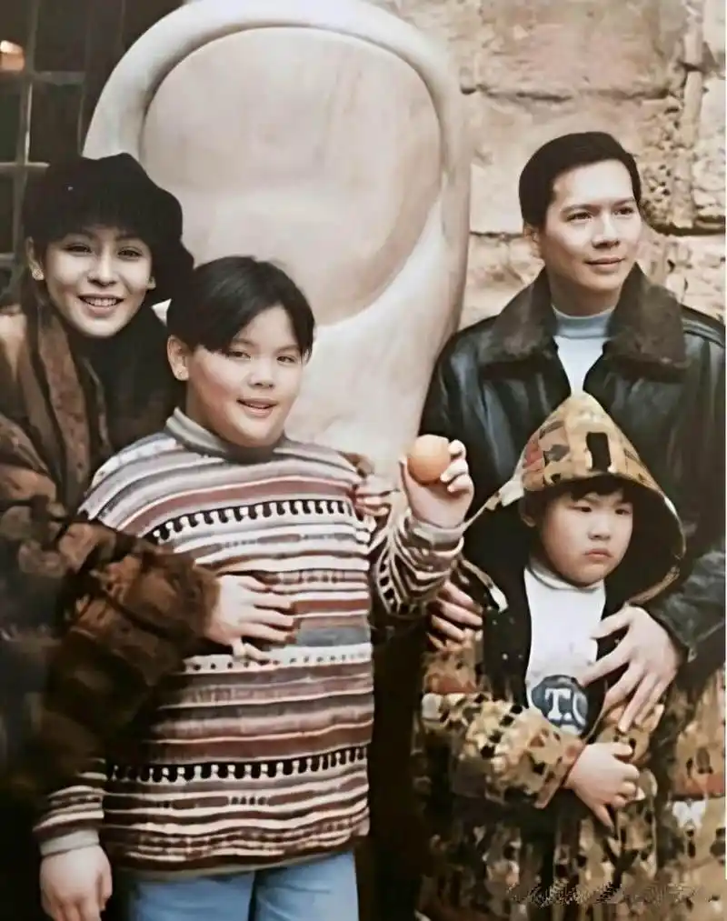 向华强和陈岚男才女貌