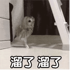 表情动图沙雕赞评论更多