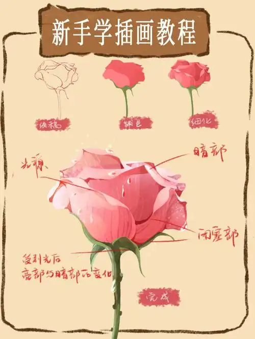 零基础绘画教程花一朵粉色的玫瑰花