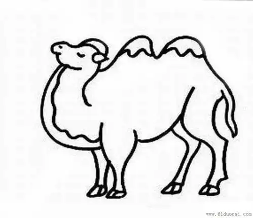 小骆驼简笔画涂色简单