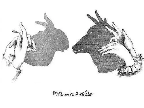 求一张兔子跟羊牵手的图案,兔子是公的,羊是母的