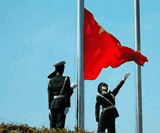 325_271gif 动态图 动图