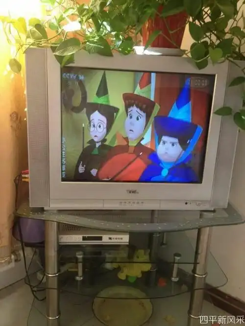 tcl王牌电视机21英寸