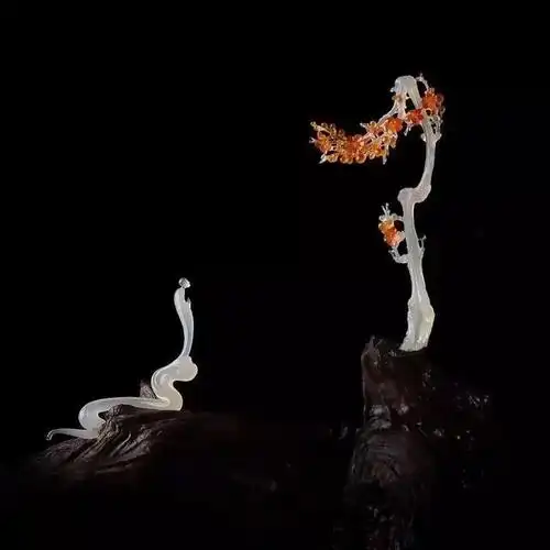 禅意玉雕美得令人窒息