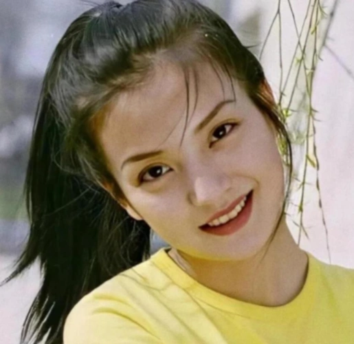 被泼粪殴打孕妇从红极一时到人人喊打赵薇的黑红往事