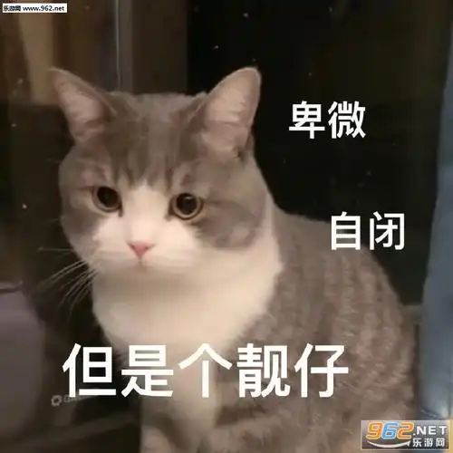 因为太笨被丢掉了表情包