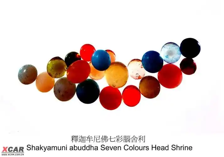 佛祖舍利圣物,释迦牟尼佛红色血舍利!