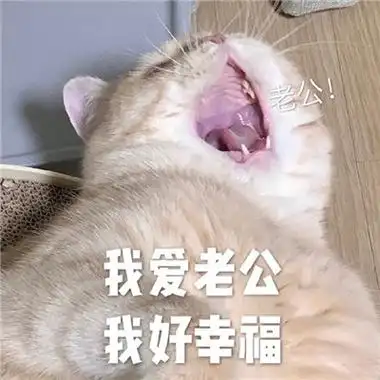 对老公撒娇卖萌的表情包要乖乖听老公话的表情包