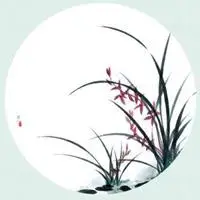 淡雅头像唯美_微信头像图片大全