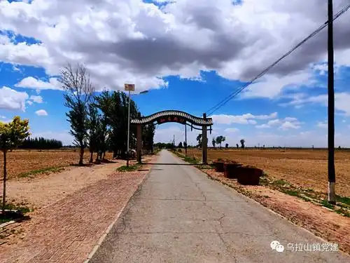 乌拉特前旗乌拉山镇:打造香瓜品牌 种下致富希望