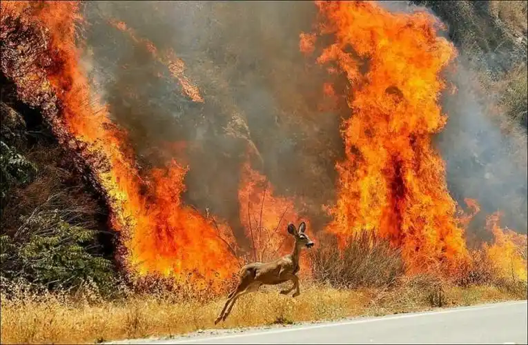 由于水需要填补水下地震造成的空洞,当这些发生时,海岸线往往会后退.