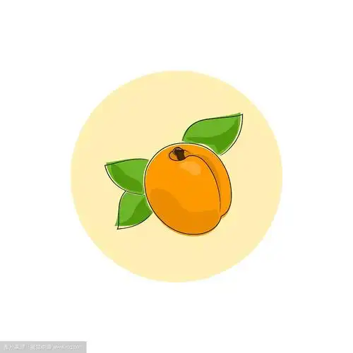 图标色彩斑斓的杏