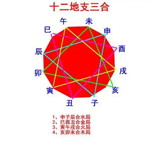 全面总结十二地支之间的关系