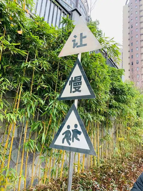 这个标志牌告诉我们附近时学校,会有学生出入,车辆要减速慢行,平常