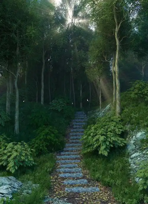 oc真实树林练习|三维|场景|z77951592 - 原创作品 - 站酷 (zcool)