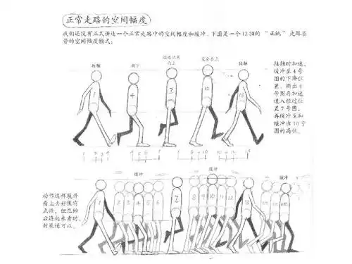 人的运动规律 动画运动规律 走路规律 走路动画 原画ppt