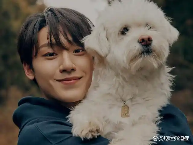 李到晛童年照曝光再次印证胖子都是潜力股