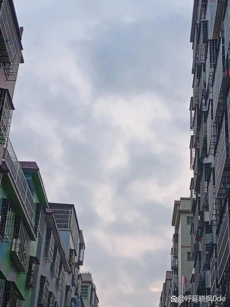 这片城市建筑群,仿佛天空与建筑的私密对话.