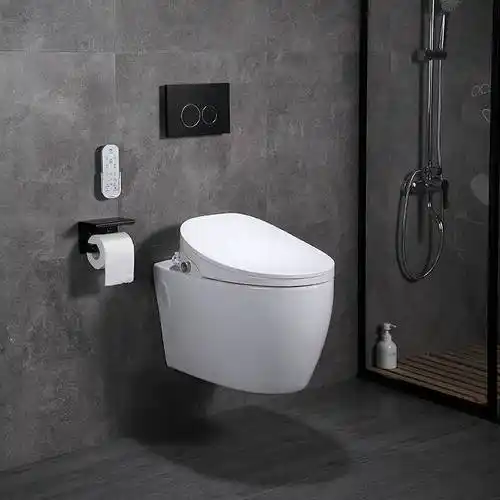 壁挂式马桶挂式排入悬挂嵌入挂墙挂壁悬空坐便器普通坐便器