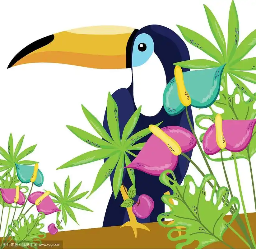 热带鸟巨嘴鸟卡通