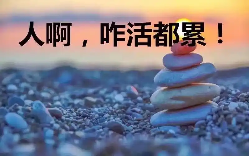 雪落花谢的美篇